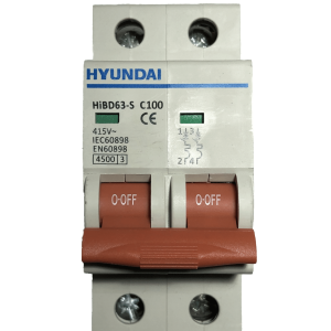 HGD63S2P100A | Hyundai 10K 100A 2 Pole HGD63S